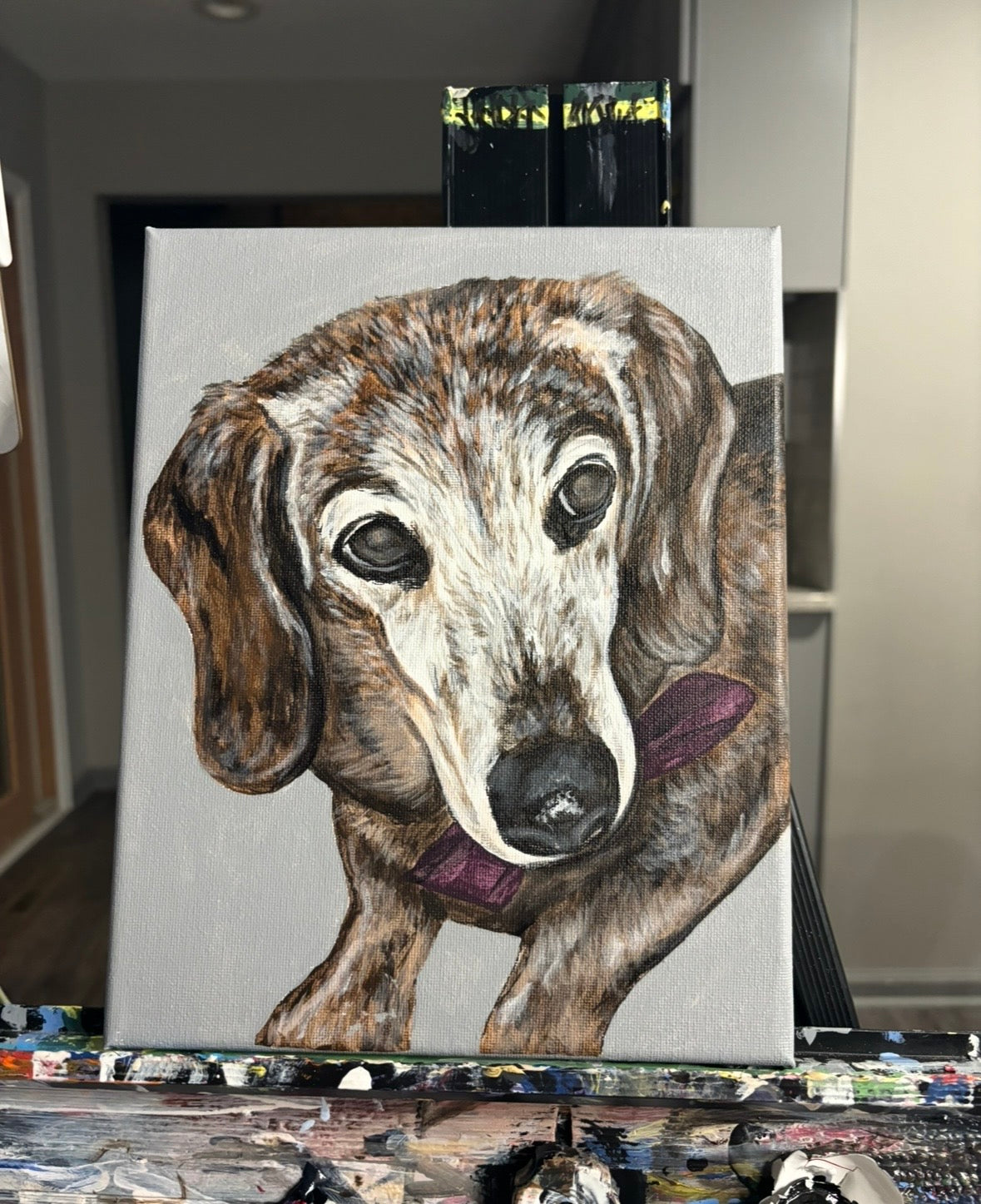 CUSTOM PET CANVAS SPOTS