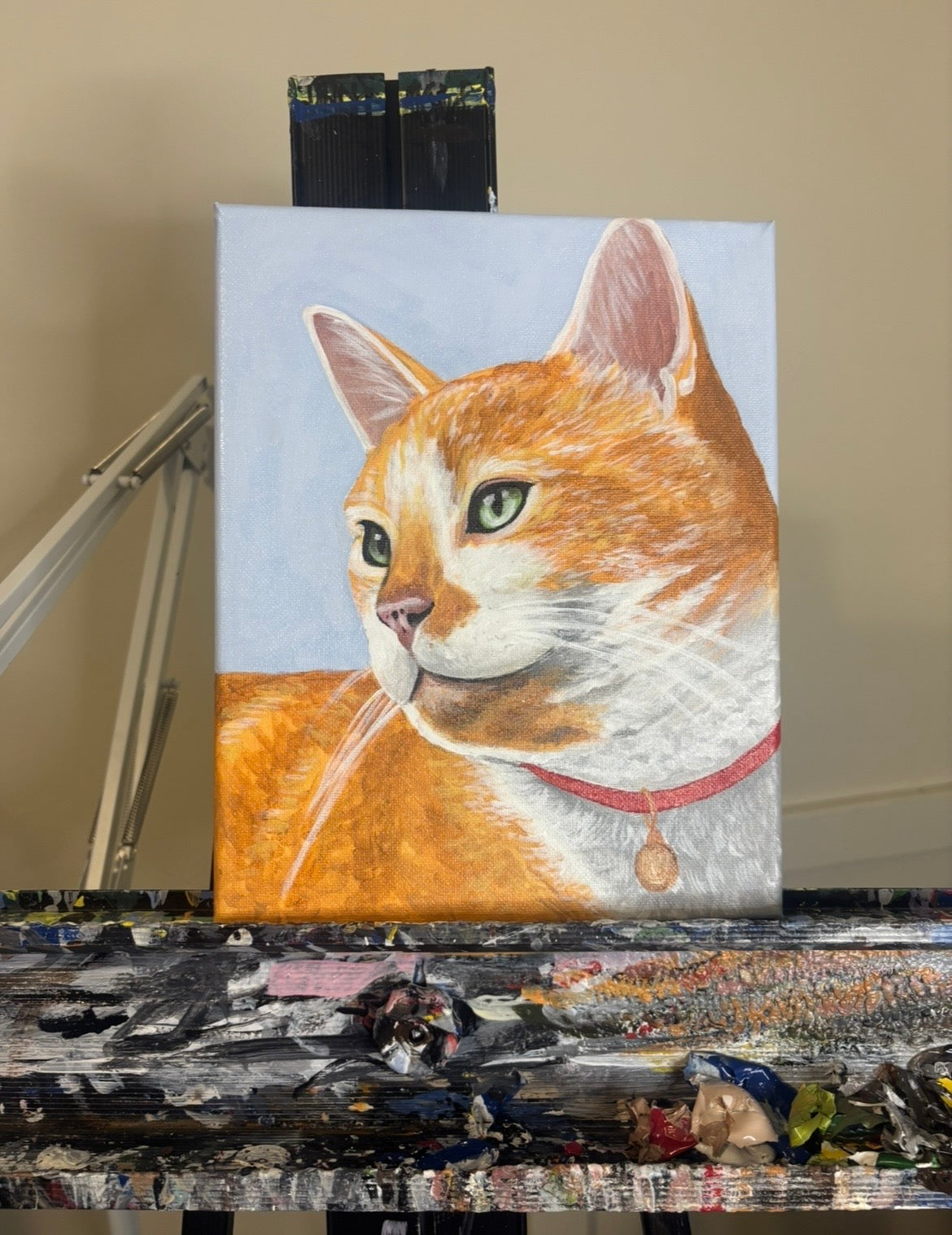 CUSTOM PET CANVAS SPOTS
