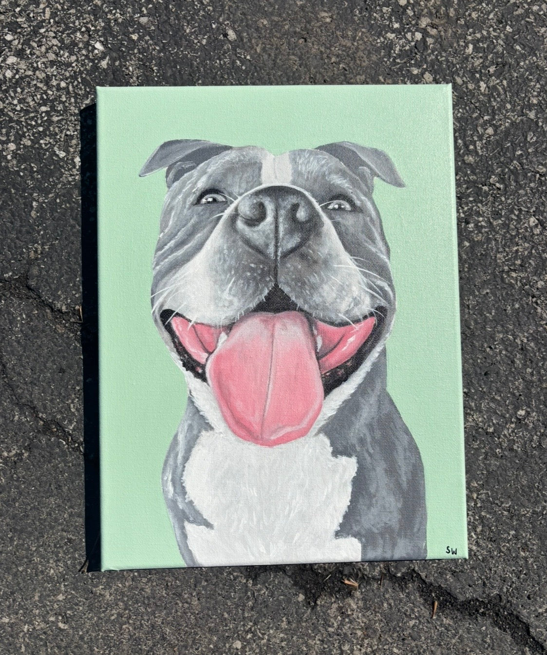 CUSTOM PET CANVAS SPOTS