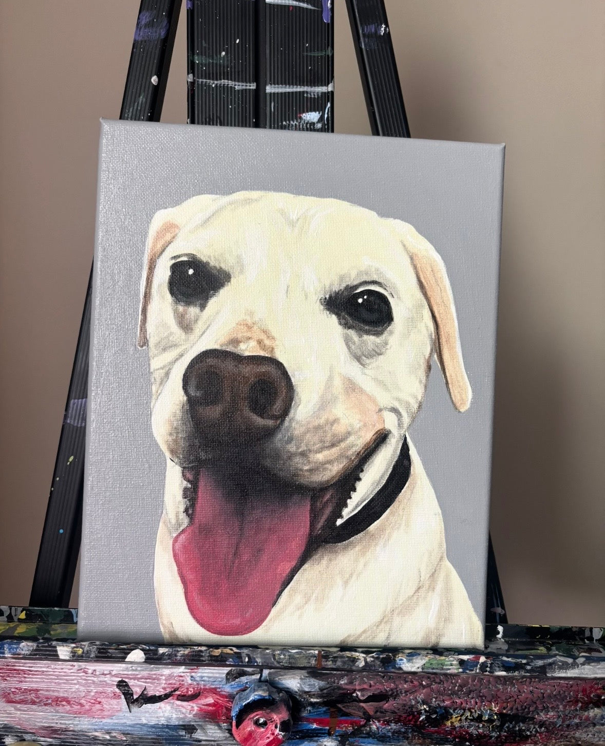 CUSTOM PET CANVAS SPOTS