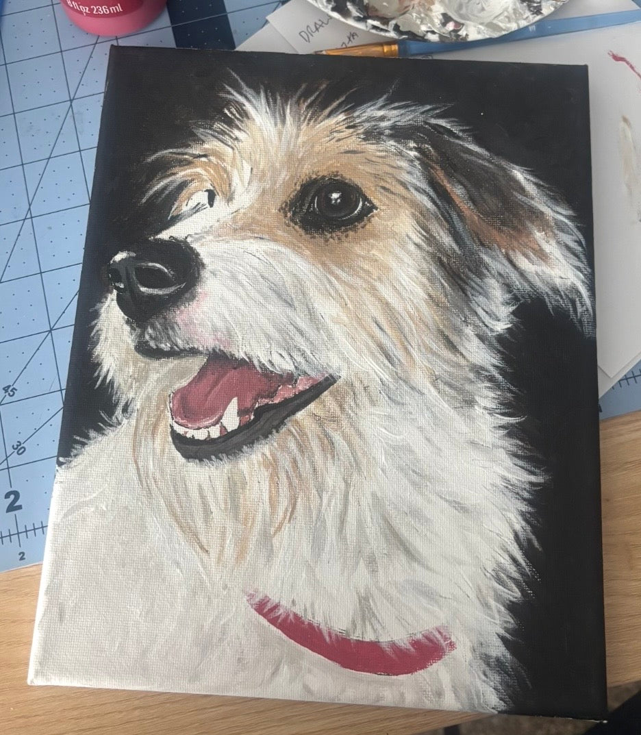 CUSTOM PET CANVAS SPOTS